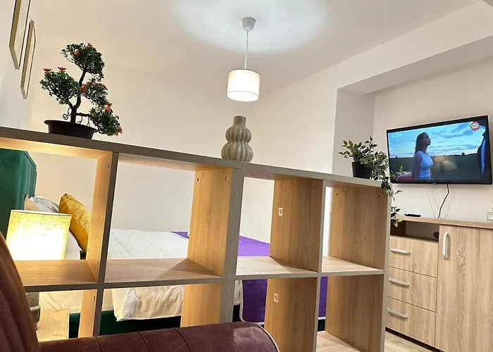 公寓 Coresi Mall Area By Glam 布拉索夫